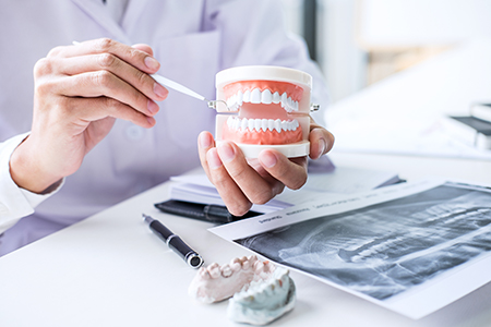 Jill A. Adams, DDS