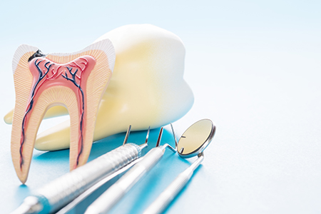 Jill A. Adams, DDS